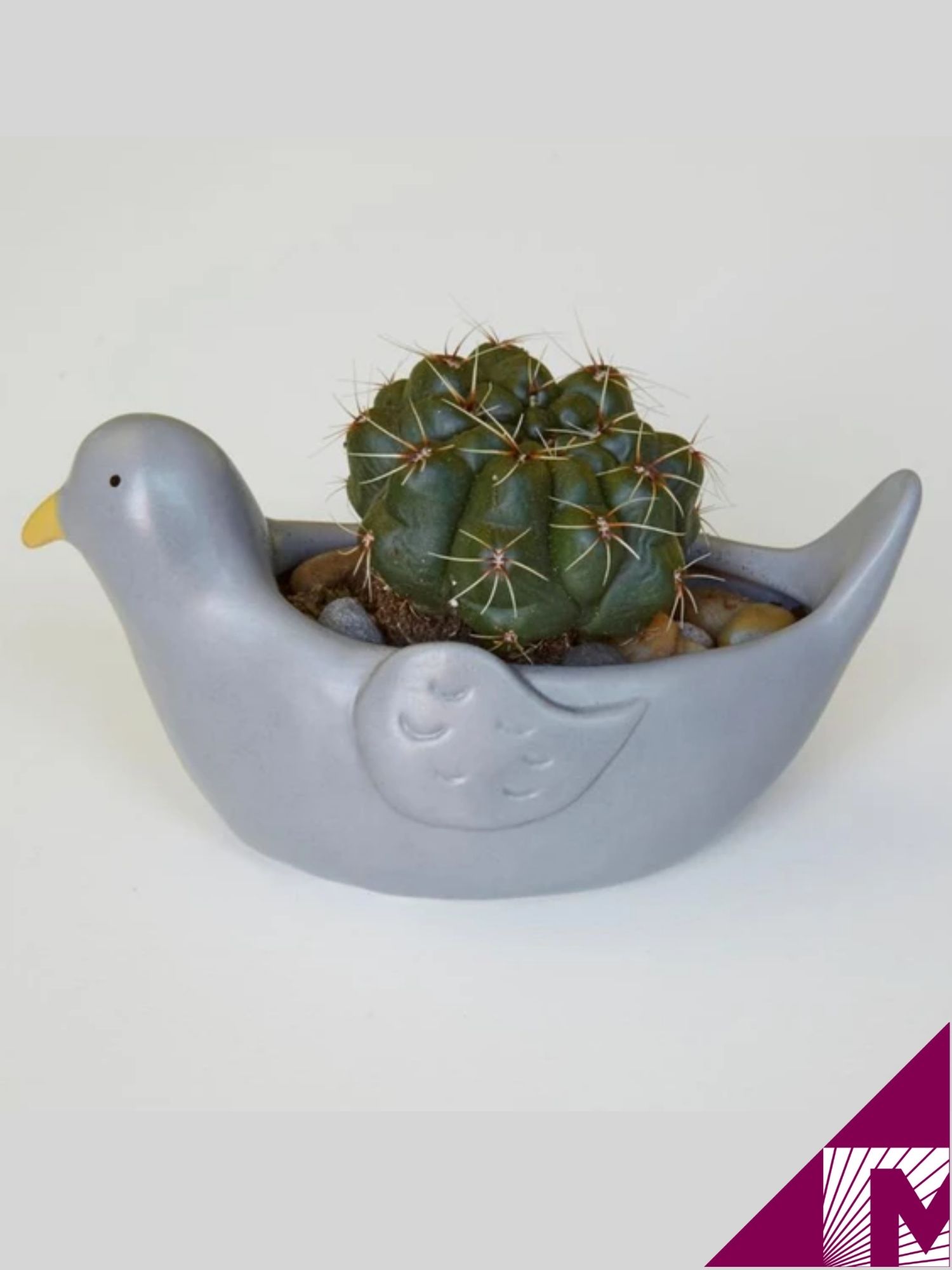 Pigeon Planter